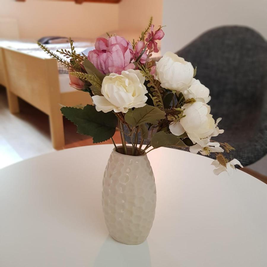 Studio Apartman Ivana يايتشه المظهر الخارجي الصورة